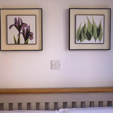 H&o Olive House Apartament
